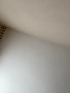 rpotktkkt online show from November 20, 2025, 9:43 am