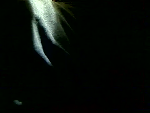 markluvskitty online show from December 5, 2025, 3:43 pm