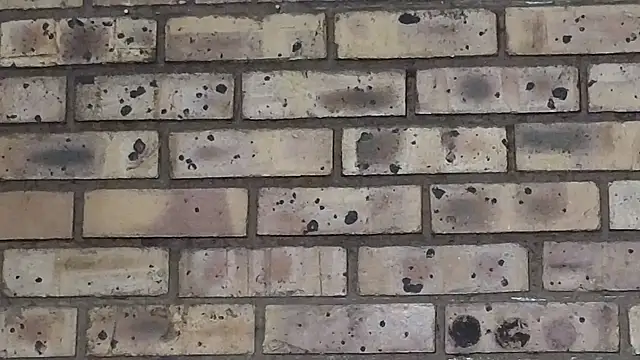 Astoria Moon online show from March 22, 2025, 7:09 pm