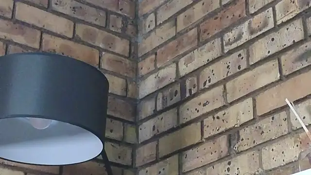 Astoria Moon online show from January 14, 2026, 12:20 pm