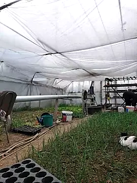 EmmaSquirt online show from March 18, 2025, 1:12 pm