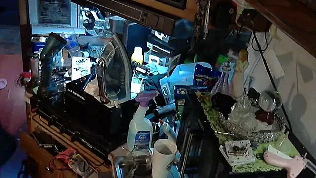 jessicalove99 online show from November 15, 2025, 11:36 am