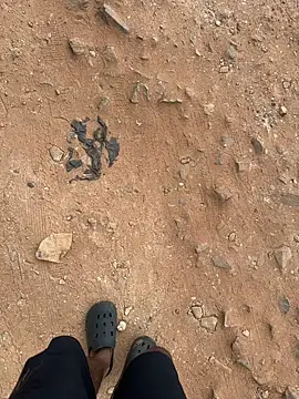 Black-mamba-madingo online show from September 12, 2025, 10:37 am