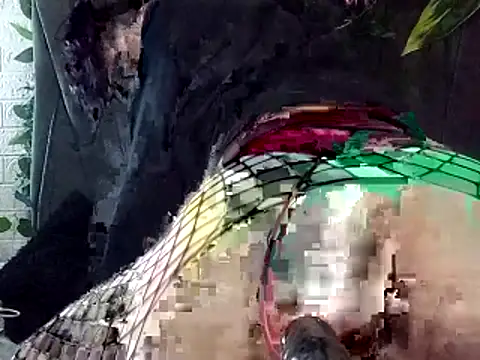 Devilnia9 online show from February 4, 2026, 10:38 pm