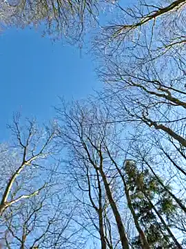 LydiaMaus96 online show from February 18, 2025, 1:11 pm