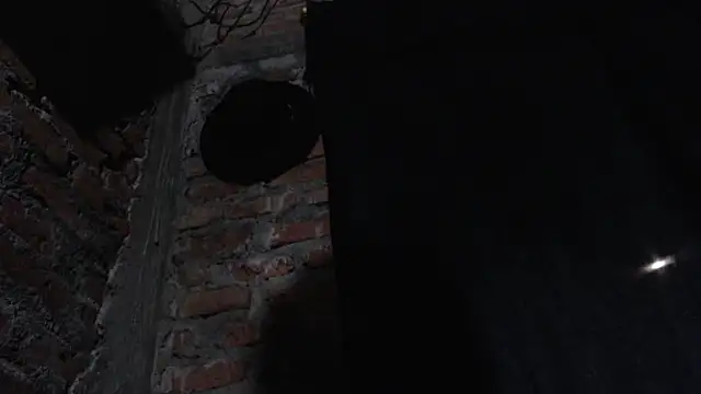 J232001 online show from March 1, 2026, 11:49 pm