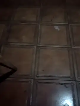 soulreaver199 online show from February 12, 2026, 1:16 am