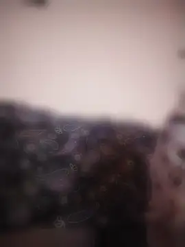 Donostipa online show from March 26, 2026, 5:06 am