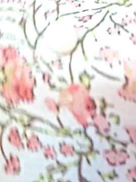 Snapshot of Priya_Bong chatting on February 9, 2026, 4:10 am Priya Bong online show from February 9, 2026, 4:10 am