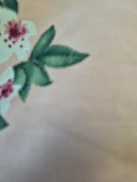 Snapshot of Priya_Bong chatting on March 10, 2026, 2:59 am Priya Bong online show from March 10, 2026, 2:59 am