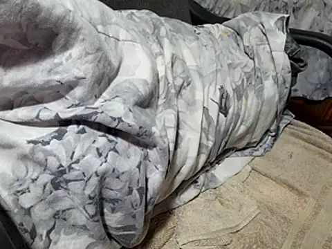 Snapshot of BBC_JoyBoi chatting on March 20, 2026, 12:50 pm BBC JoyBoi online show from March 20, 2026, 12:50 pm