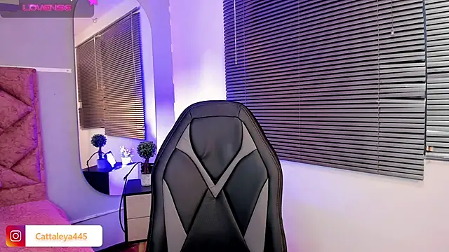 cattaleya    online show from February 19, 2025, 6:44 am