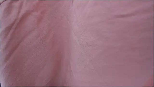 Lauren A online show from September 12, 2025, 7:35 pm