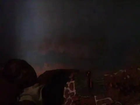 little  joy online show from March 12, 2025, 9:55 am