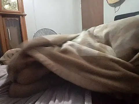 Snapshot of Xoc8_ chatting on February 14, 2026, 9:31 am Xoc8 online show from February 14, 2026, 9:31 am