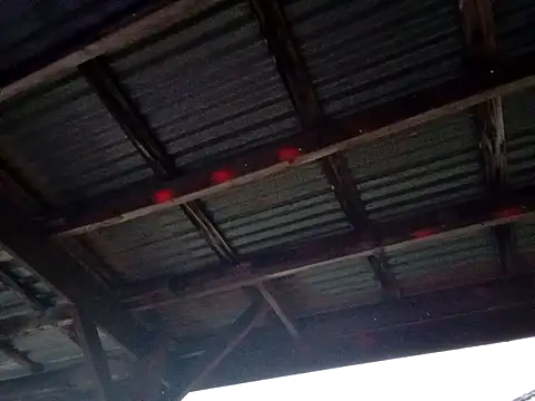 Xoc8  online show from December 1, 2025, 11:05 pm