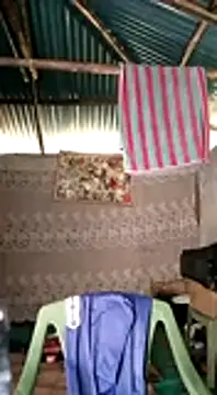 Snapshot of Brian_johns chatting on December 31, 2024, 12:04 pm Brian johns online show from December 31, 2024, 12:04 pm