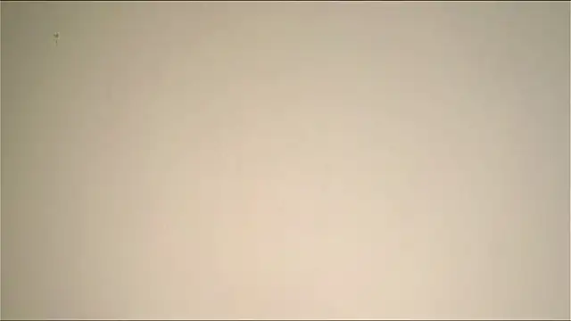 Snapshot of Elation_Evy chatting on March 19, 2026, 1:38 am Elation Evy online show from March 19, 2026, 1:38 am