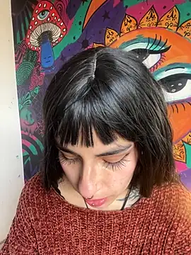  Artemisa X online show from November 26, 2025, 1:11 pm