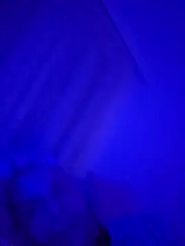 denisxlRo online show from March 16, 2025, 8:10 pm