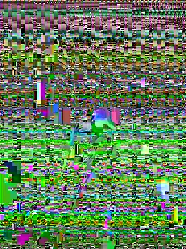 cadenfoxx111 online show from May 13, 2026, 5:20 pm
