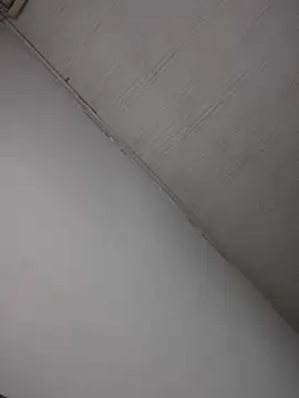 Lorraine Leon online show from February 10, 2025, 11:45 pm