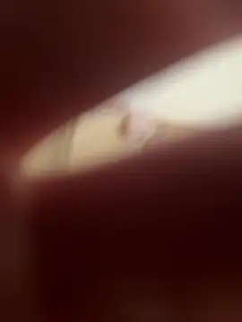 Snapshot of Kemenyfasz93 chatting on March 9, 2025, 12:42 pm Kemenyfasz93 online show from March 9, 2025, 12:42 pm