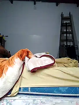 Chatlitos4879 online show from April 13, 2026, 10:52 am