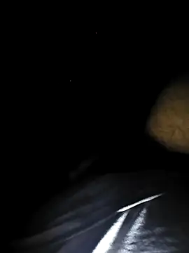 SpineToon online show from February 5, 2026, 7:15 am