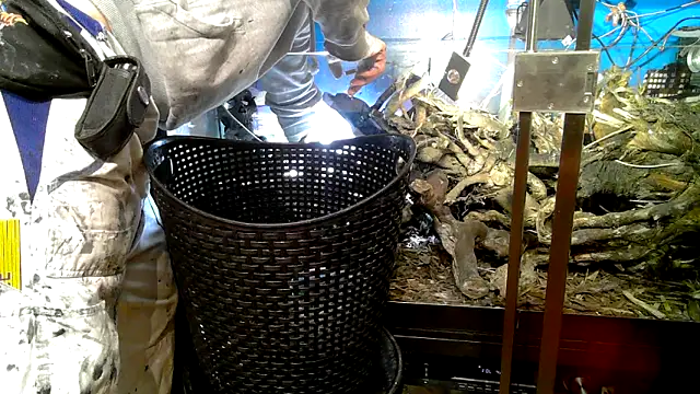 0815lukas2024 online show from October 7, 2025, 9:27 pm