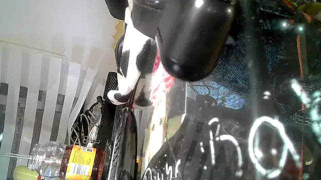 0815lukas2024 online show from September 9, 2025, 9:13 pm