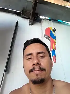 Snapshot of luissilva0071 chatting on February 4, 2025, 3:26 pm luissilva0071 online show from February 4, 2025, 3:26 pm