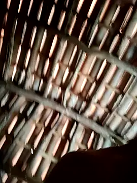 Snapshot of luissilva0071 chatting on March 23, 2026, 2:17 pm luissilva0071 online show from March 23, 2026, 2:17 pm