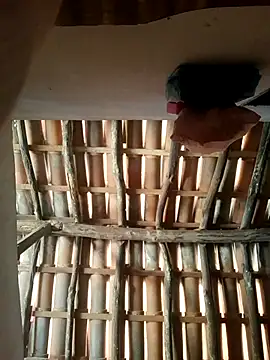 Snapshot of luissilva0071 chatting on February 24, 2026, 12:28 pm luissilva0071 online show from February 24, 2026, 12:28 pm