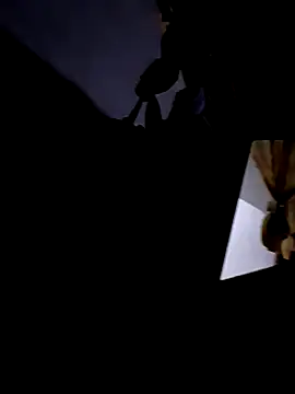 Snapshot of luissilva0071 chatting on November 22, 2025, 11:03 pm luissilva0071 online show from November 22, 2025, 11:03 pm