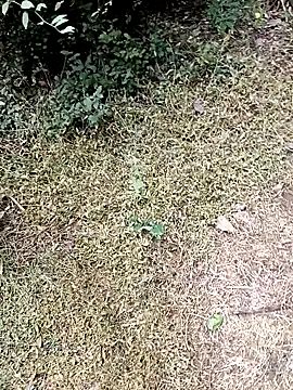 RockyNonStop online show from January 3, 2025, 5:06 am