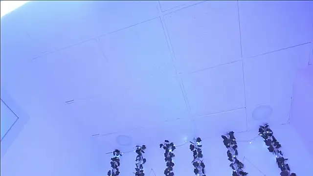 SophieHill gh online show from January 16, 2025, 1:27 am