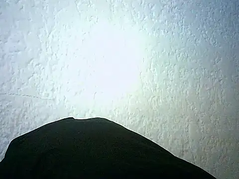 Bellabeltrann online show from January 14, 2026, 12:42 pm