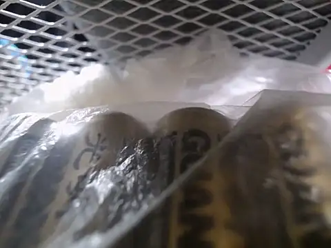 Lovensetest online show from September 30, 2025, 7:36 am