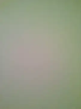 Lovensetest online show from June 29, 2026, 5:58 am