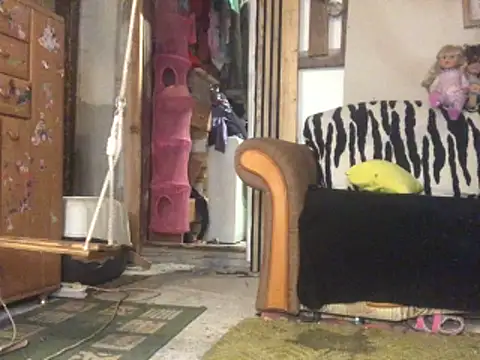 frenkynator online show from November 15, 2025, 9:19 pm