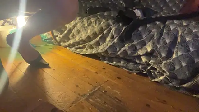 alexheels boots online show from December 3, 2025, 2:45 am