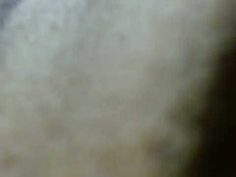 silky milky online show from October 27, 2025, 7:26 pm