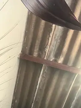 Snapshot of DManL chatting on March 19, 2026, 5:29 am DManL online show from March 19, 2026, 5:29 am