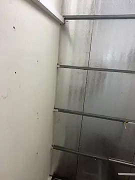 Louis Baby online show from January 23, 2025, 11:58 am