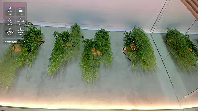 Lana Lann online show from September 22, 2025, 12:00 pm