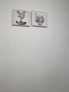 SophiaLaurens online show from October 14, 2025, 1:34 pm