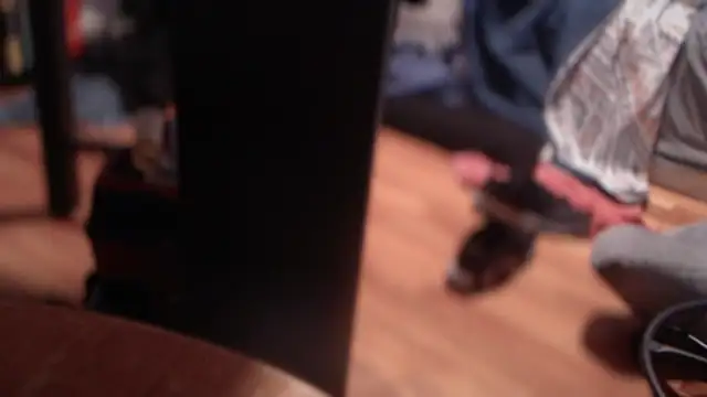 flexingplexico online show from March 3, 2025, 6:20 am