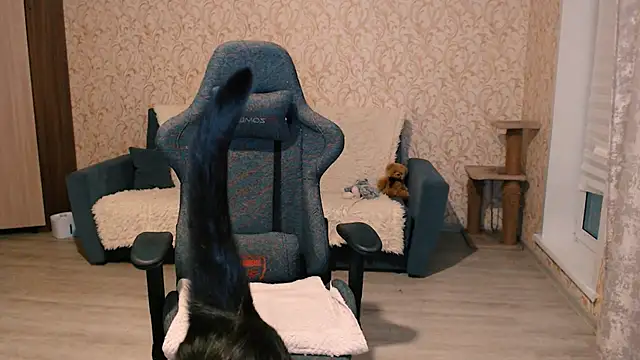 PDiddy  online show from February 15, 2025, 7:50 pm