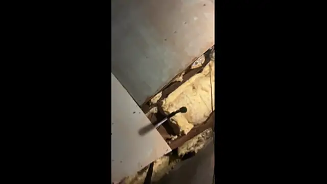 Manwhorxxlcock online show from March 3, 2026, 10:33 am